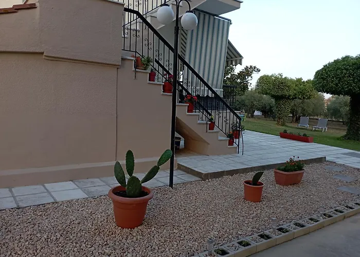 Olive Mare Holidays