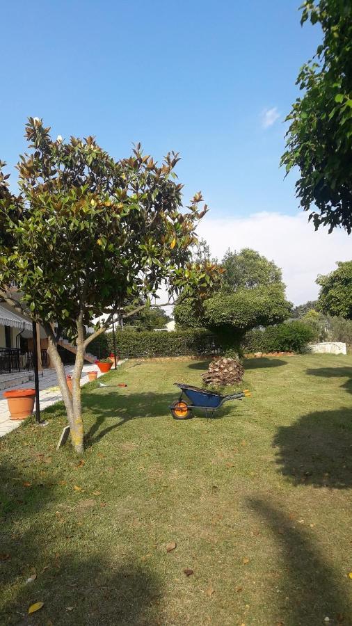 Olive Mare Holidays Νέα Ηράκλεια