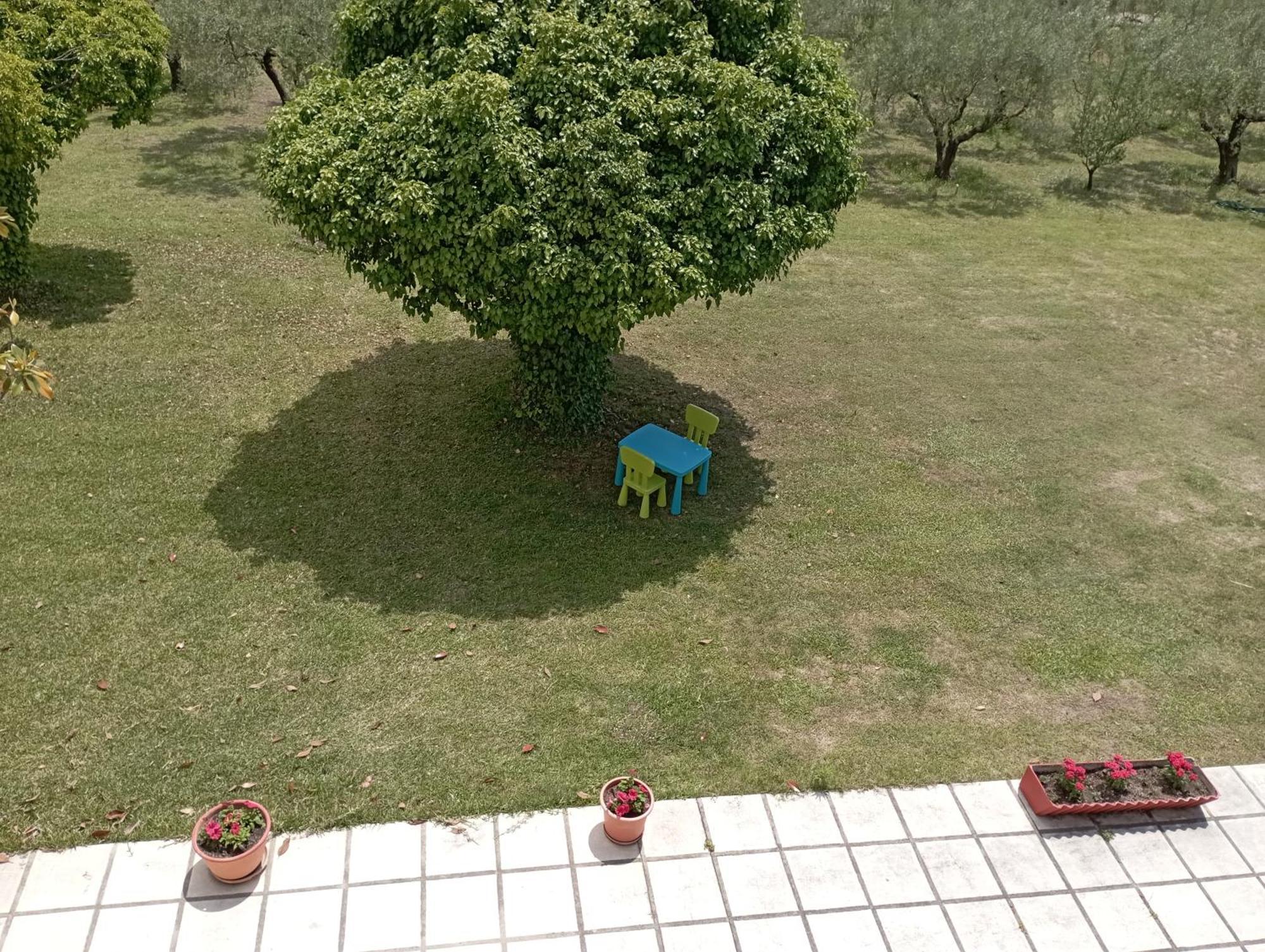 Olive Mare Holidays * Νέα Ηράκλεια