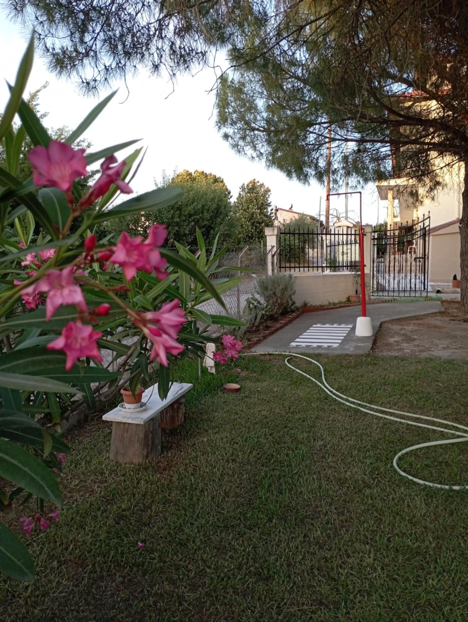 Olive Mare Holidays
