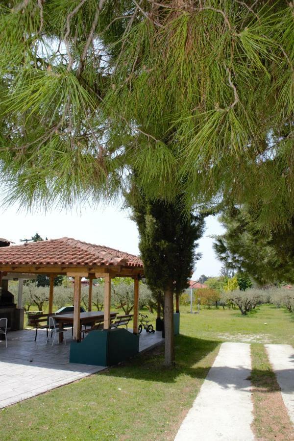 Διαμέρισμα Olive Mare Holidays *